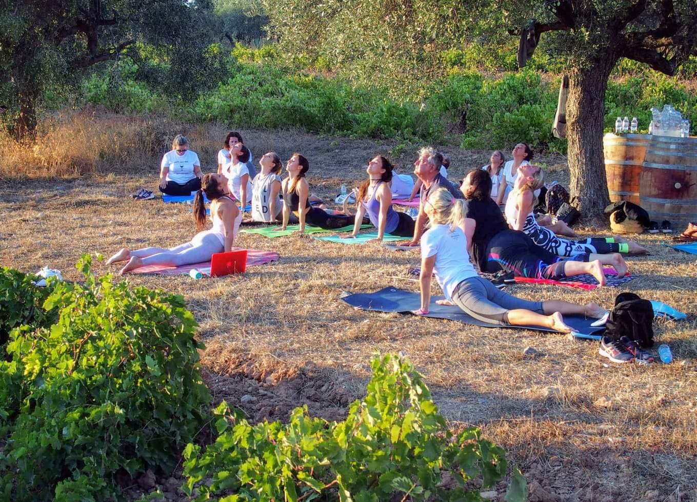 Ευχαριστούμε τον Αμπελώνα μας με έναν ιδιαίτερο τρόπο-Yoga στην Αττική Γη